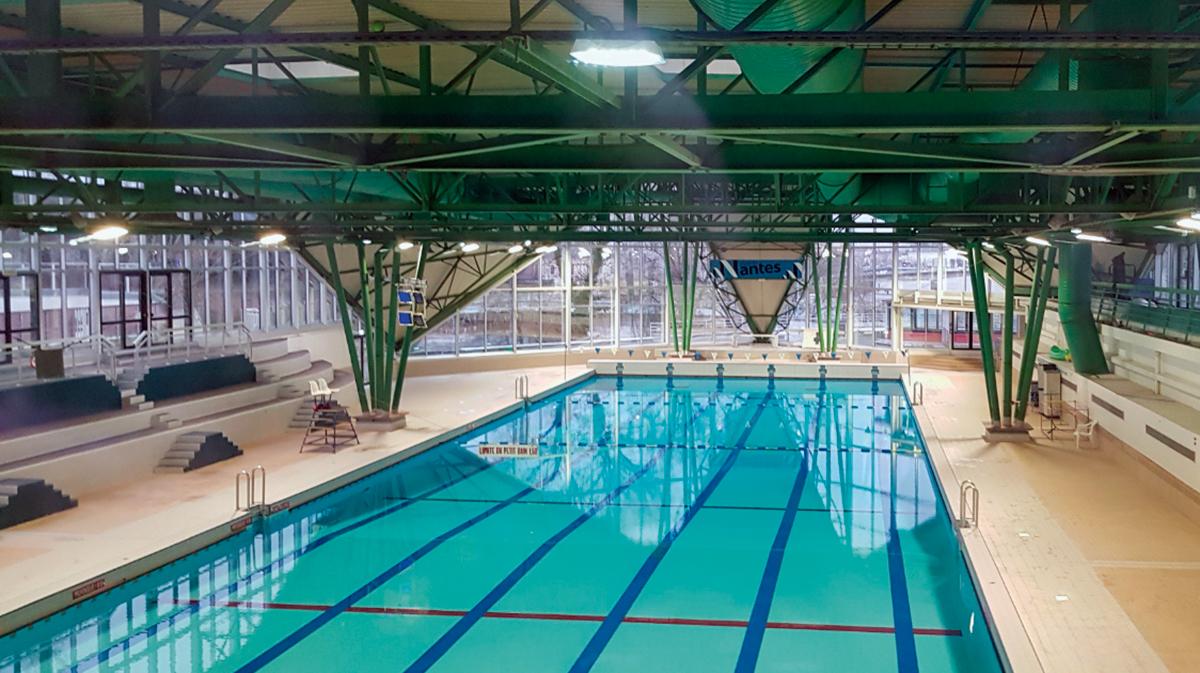 fluidra swimming pool