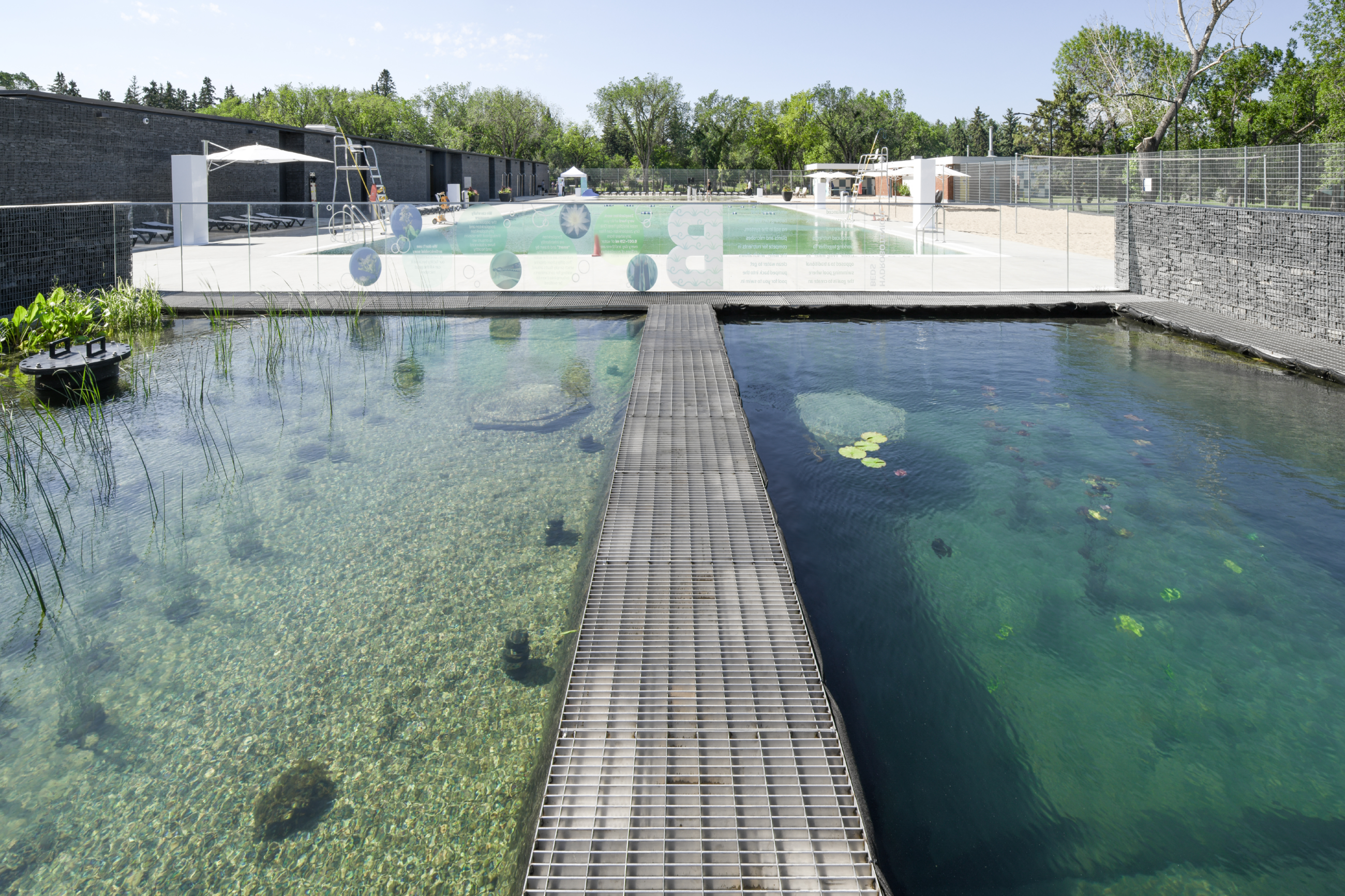 Borden Natural Swimming Pool