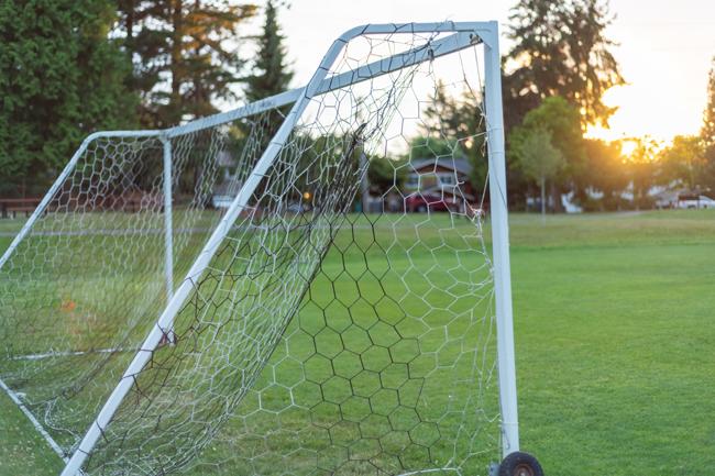 soccer goal net on field of grass l32FnywF7Fk-unsplash steve-smith_650.jpg