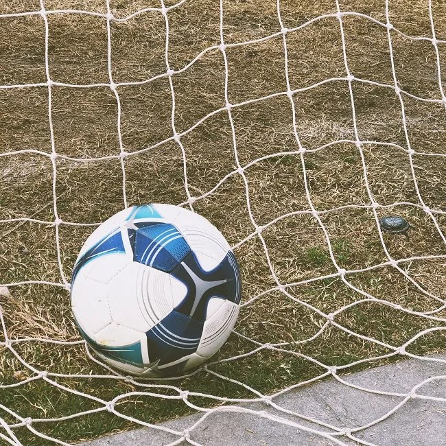 ball lying in net 6TL-WevCdgk-unsplash_brandi-ibrao