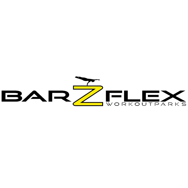 Logo_barzflex_3697.png