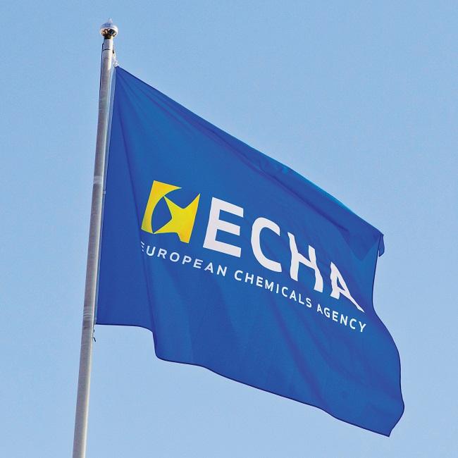 echa_European Chemicals Industry_flag on roof_650