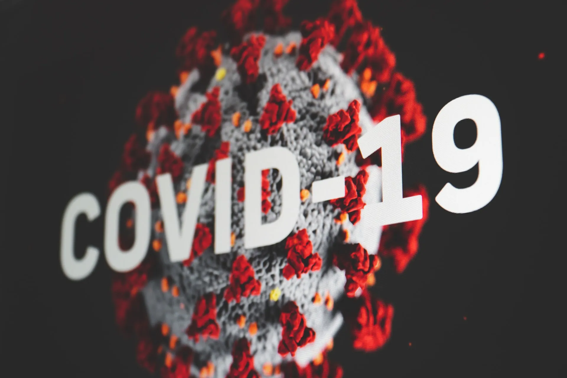 covid 19 graphic, photo by Martin Sanchez