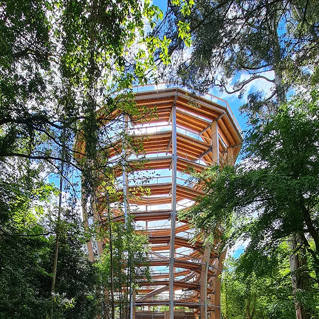 TreetopWalk_amp_ViewingTower_Avondale_Wicklow_650.jpg