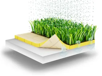 Schmitz Foam News