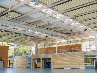 velux
