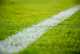 fußballrasen