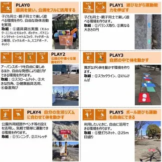 Webinar screenshot Japan June 6 2024_650.jpg