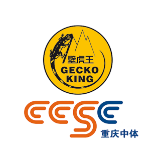 CCSC Geckoking Logo