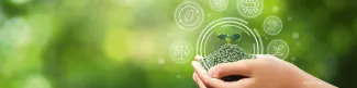 Gezolan-Eco-KeyVisual_2400x1170px_Web_HEADER.jpg