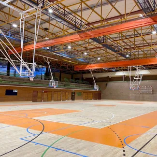 Lausin_sb_4_2022_Halle_650.jpg