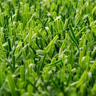 Politan_Recycling-Rasen_01_650.jpg
