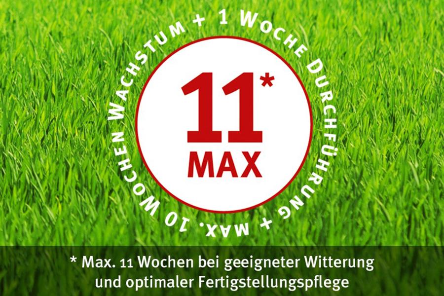 INTERGREEN Sportrasen