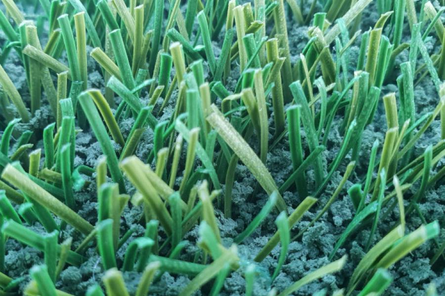 artificial turf fibre_CORE_ProMax HydroFlex_credit MET.jpg