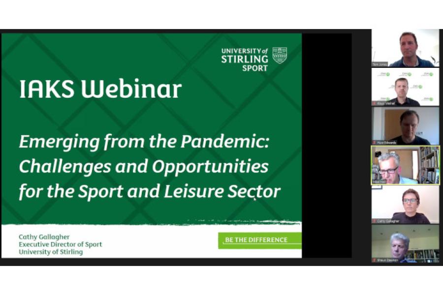 2021 UK Webinar Pandemic _screenshot panel