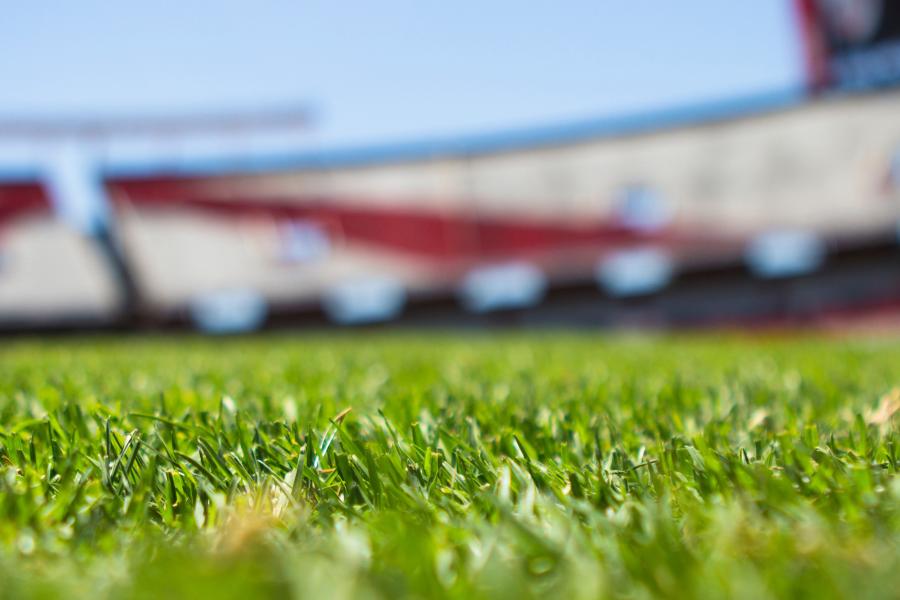 depth-of-field-field-grass