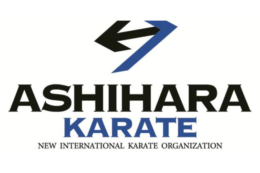 New International Karate Organization 