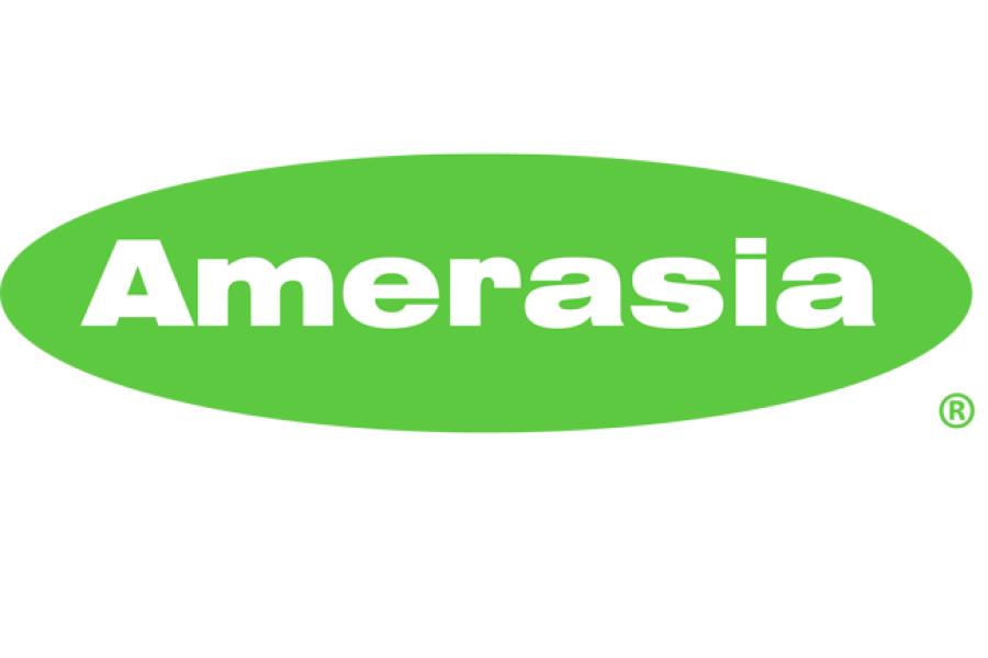 AMERASIA PMS LOGO_3700