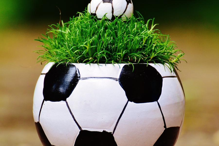 Fußball mit Gras