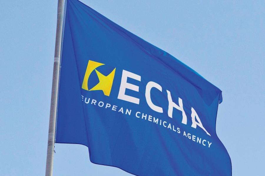 echa_European Chemicals Industry_flag on roof_650