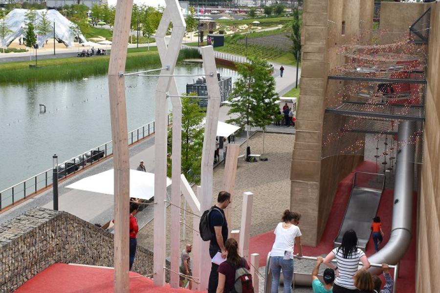 Felsenufer SINAI sb 4 2020 IMG 0160