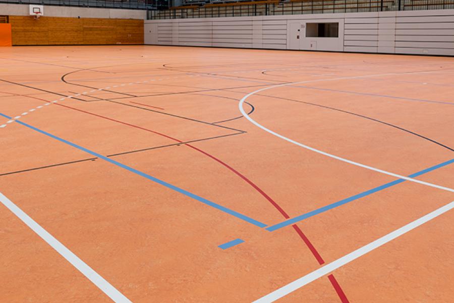 Bild_01_Sparkassen_Arena_Balingen_DLW_Linoleum_650_0.jpg