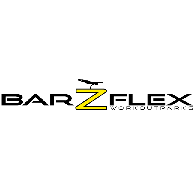 Logo_barzflex_3697.png